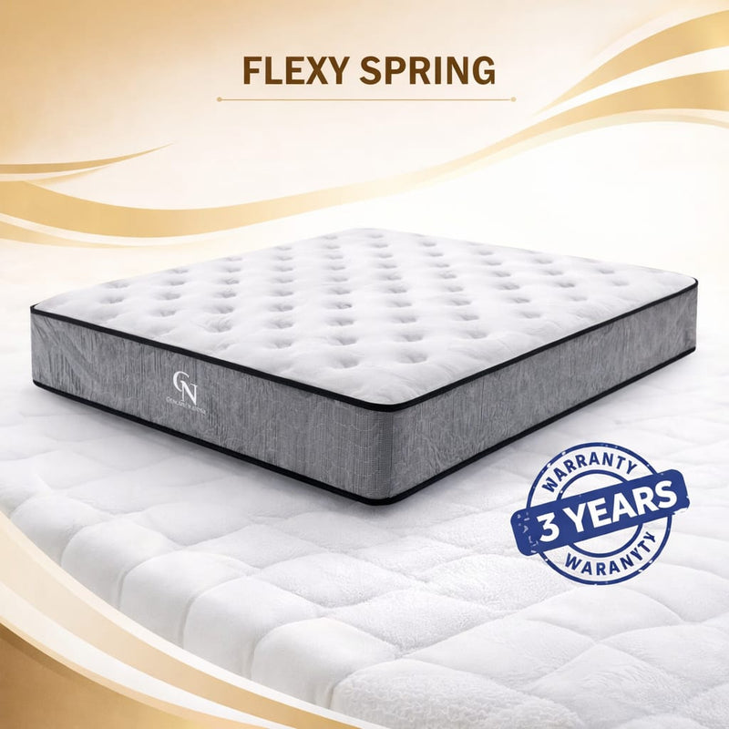 GOODNI8 FLEXY SPRING MATTRESS