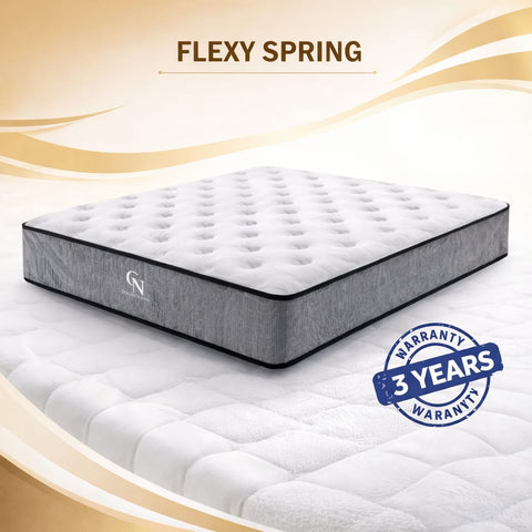 GOODNI8 FLEXY SPRING MATTRESS